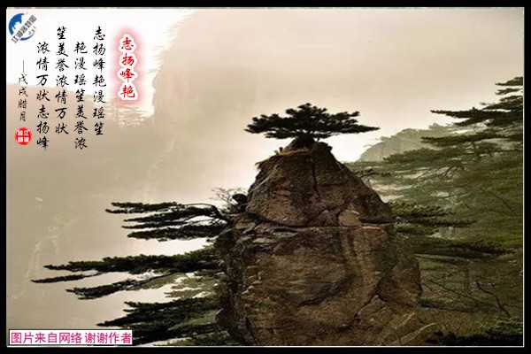 1411志扬峰艳.jpg