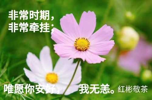 IMG_20200220_121152.jpg