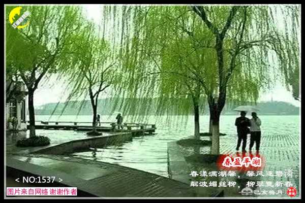 1537春雨.jpg