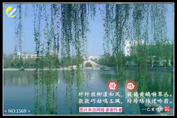 1569情绦.jpg