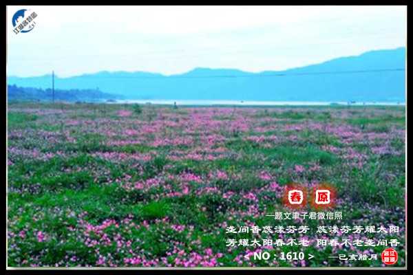 1610春原.jpg