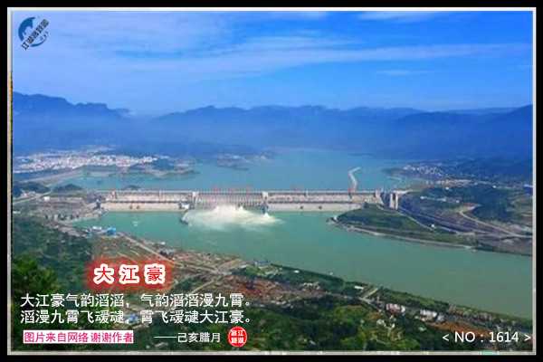 1614大江豪.jpg