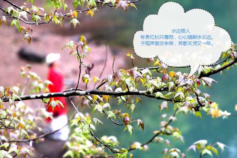 水边丽人.jpg
