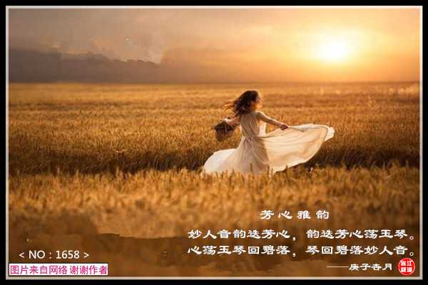 1658妙人雅韵.jpg
