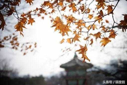 烟雨红楼.jpg