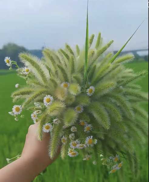 C03DA8CD-B340-4B06-8F3B-CB529EEB63F9.jpeg