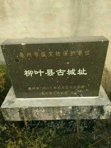 老.jpg