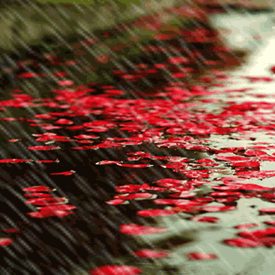24586048-C19B-4C18-BC3F-DB5CBDD60A85.gif