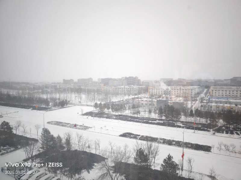 漠上雪.jpg