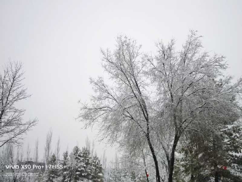 春雪二.jpg