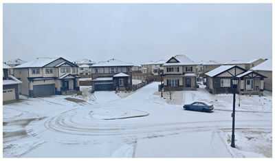 250402-春雪3_副本.jpg
