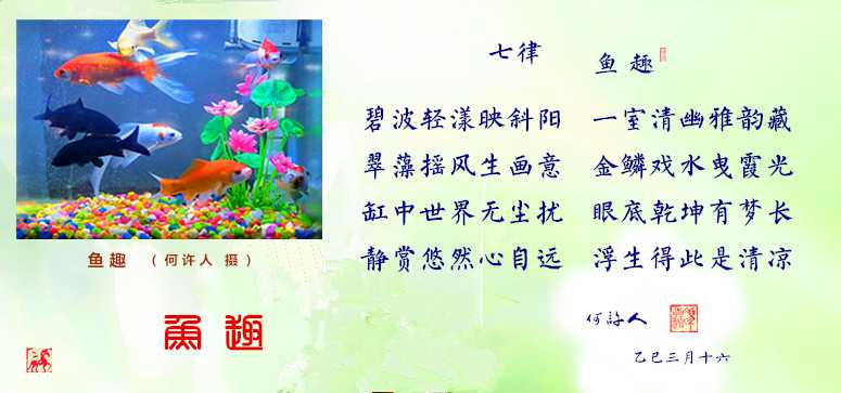 七律 · 鱼趣.jpg